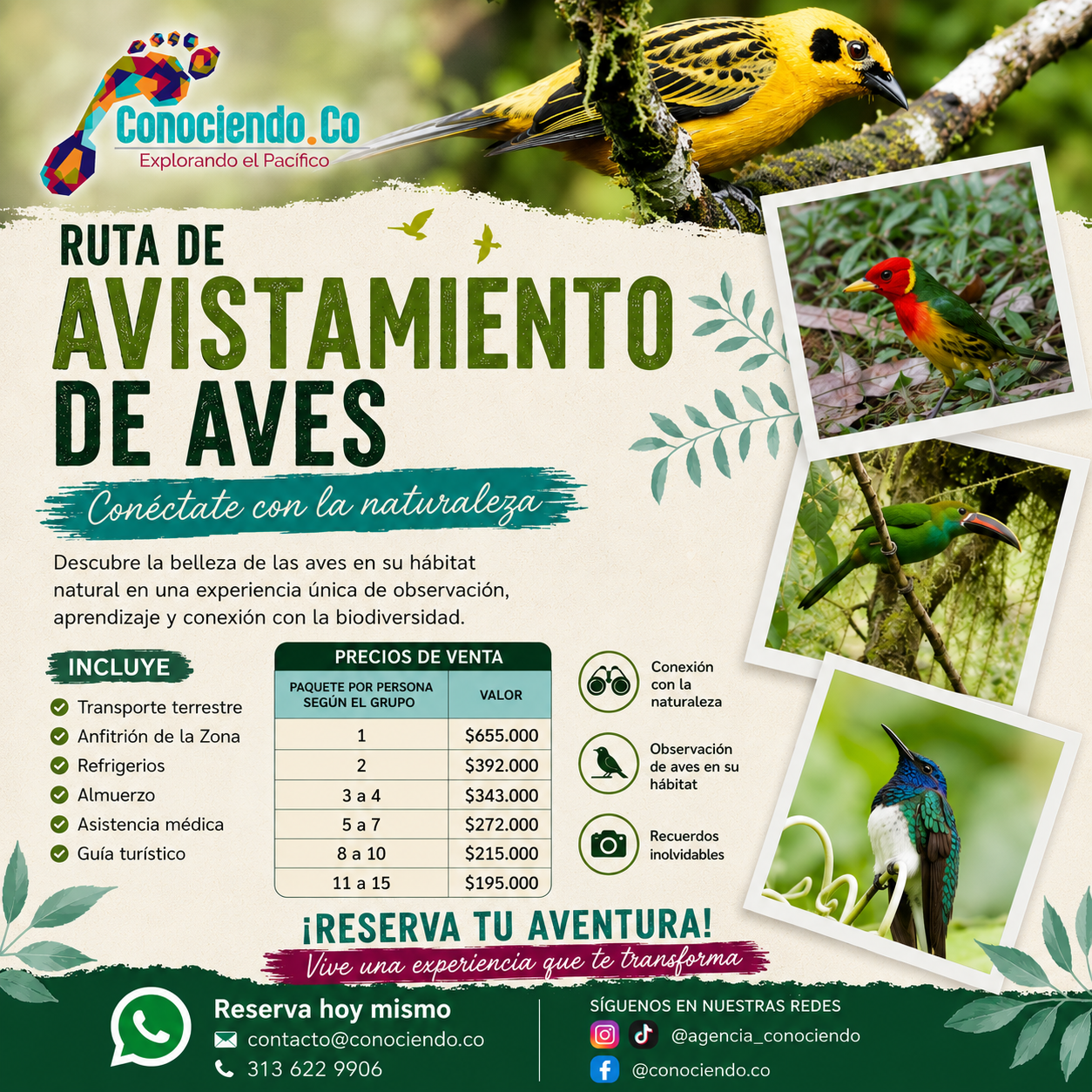 Avistamiento Urbano De Aves