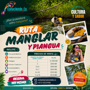 Ruta del Manglar y Piangua
