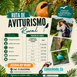 Avistamiento Rural De Aves