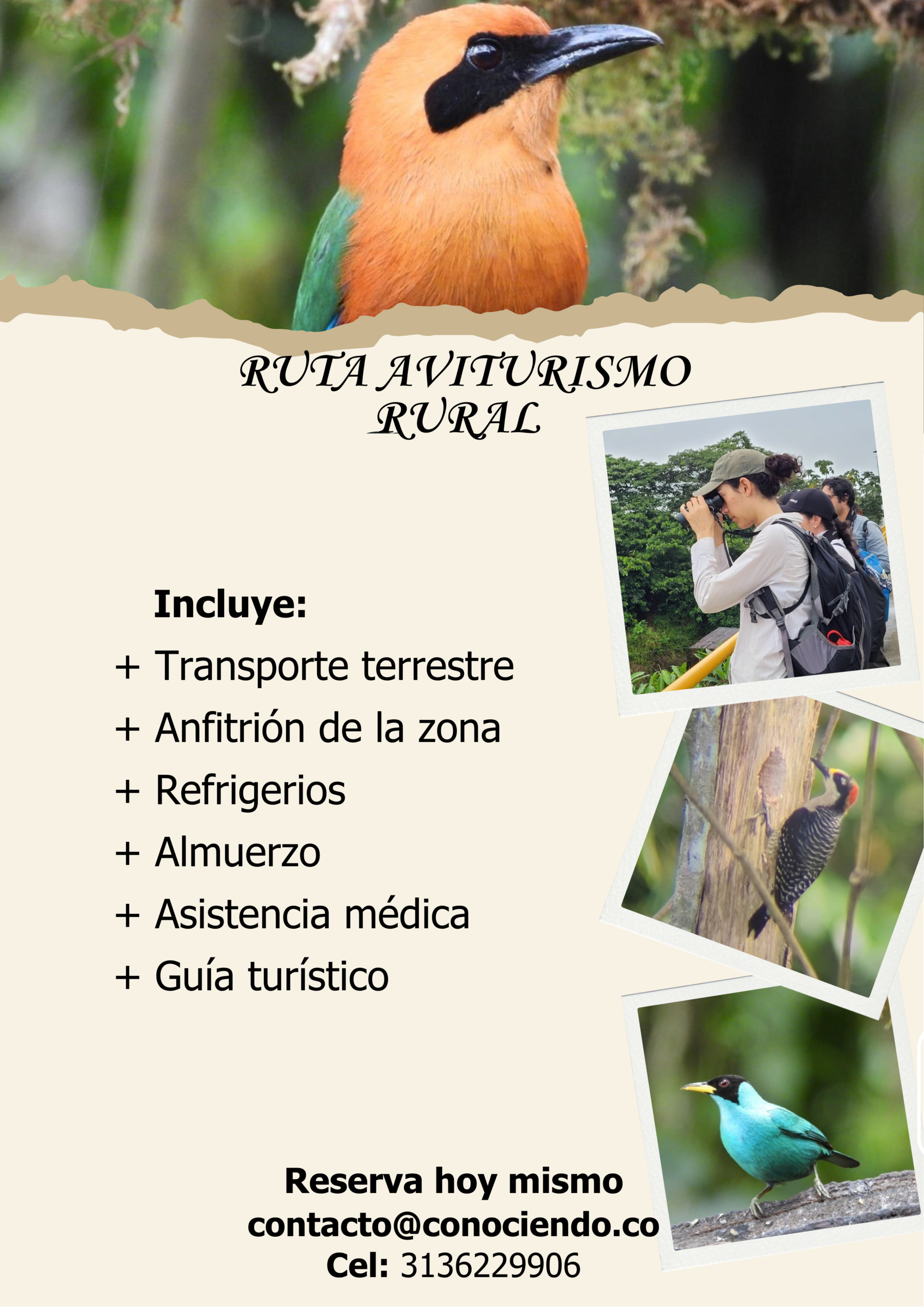 Avistamiento Rural De Aves - Imagen 19