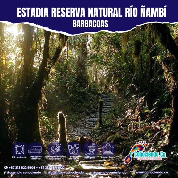Estadía Ruta Reserva Natural Río Ñambí