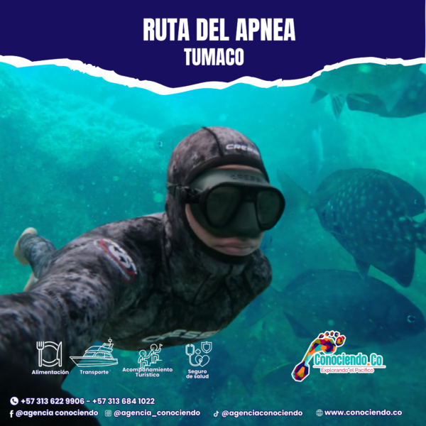 Ruta de Apnea