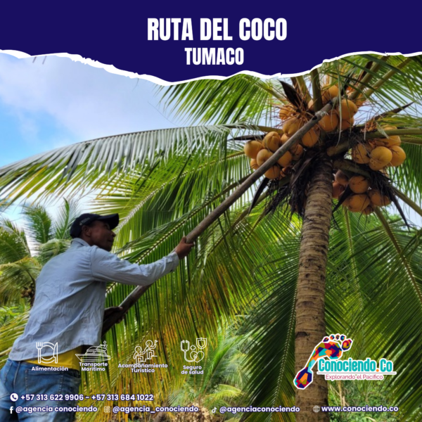 Ruta Del Coco