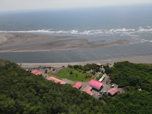 Isla de Bocagrande + Avistamiento de Ballenas (Julio a septiembre) - Imagen 6