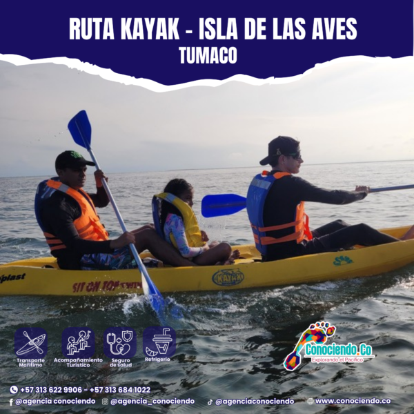 Ruta de Kayak - Isla Le Las Aves