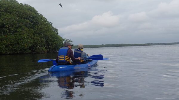 Ruta de Kayak - Isla Le Las Aves - Imagen 2