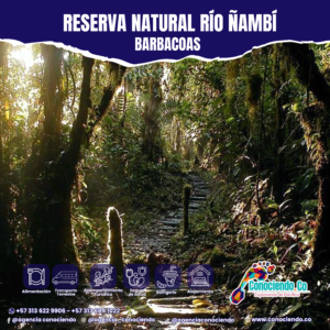 Reserva Natural Río Ñambí