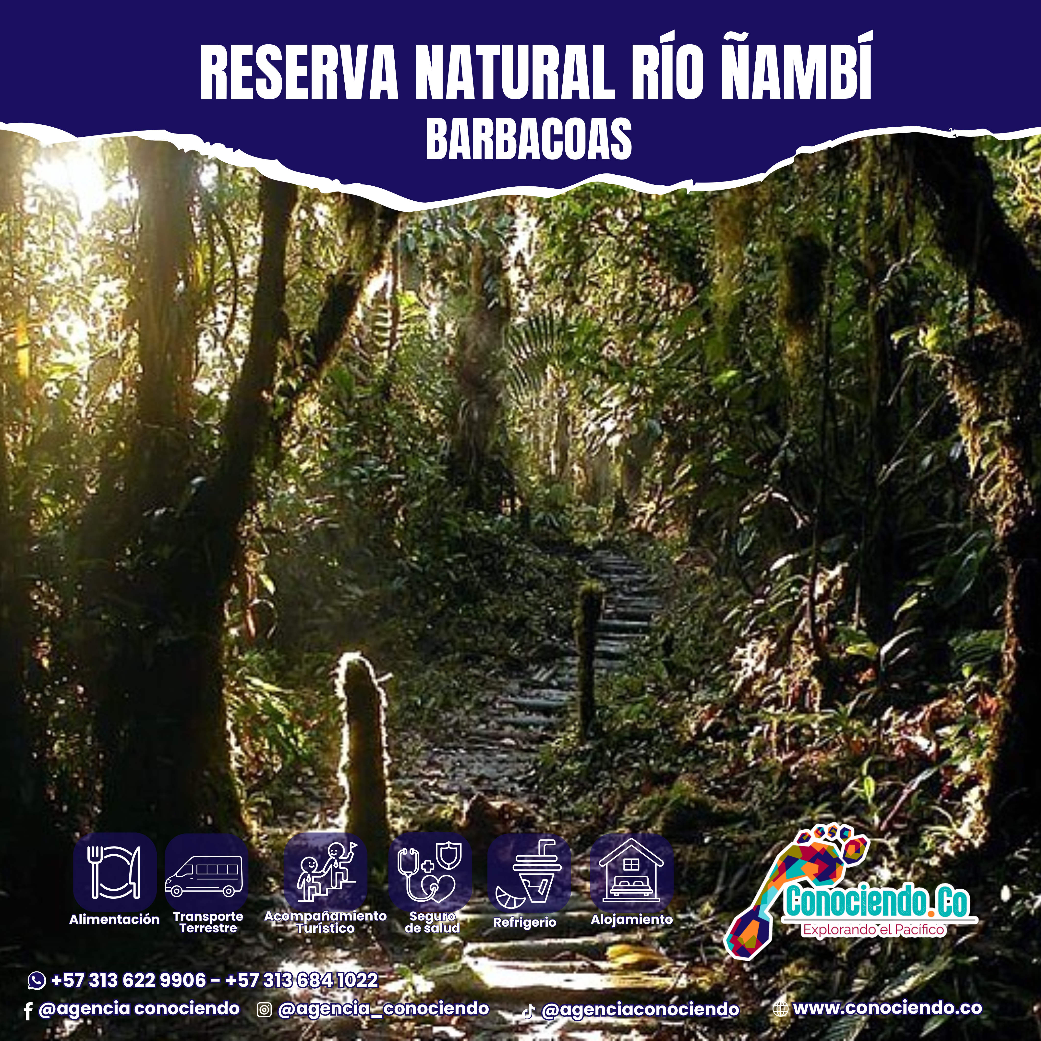 Reserva Natural Río Ñambí