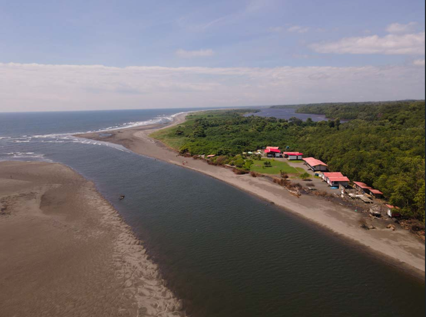 PACIFICO PROFUNDO - Imagen 5